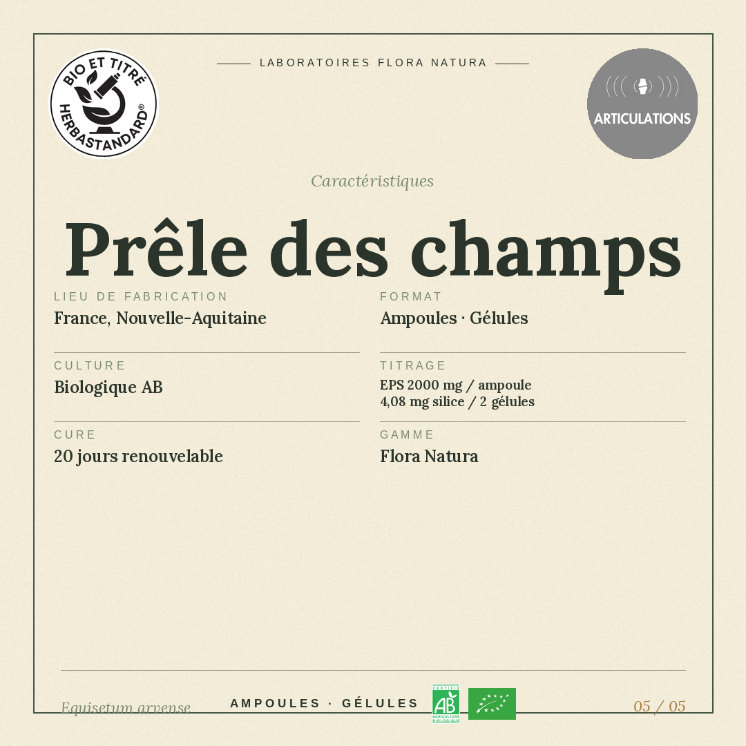 Caractéristiques de Prêle des champs