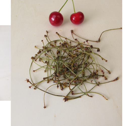 Queue de cerise — Flora Natura