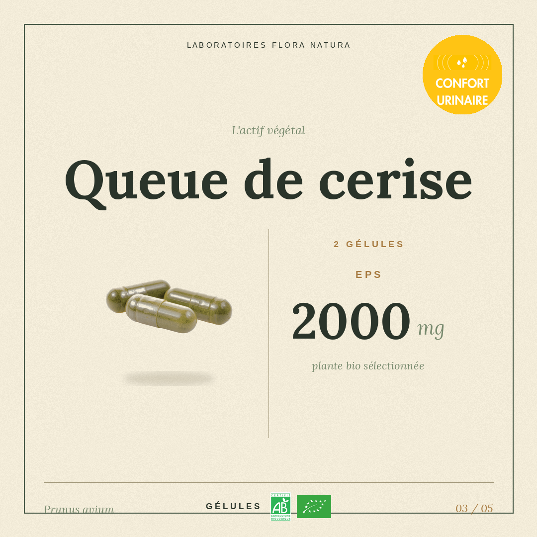 Principe actif de Queue de cerise
