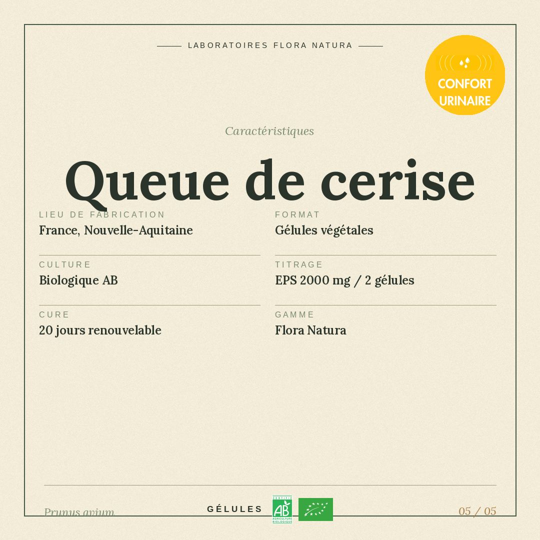 Caractéristiques de Queue de cerise