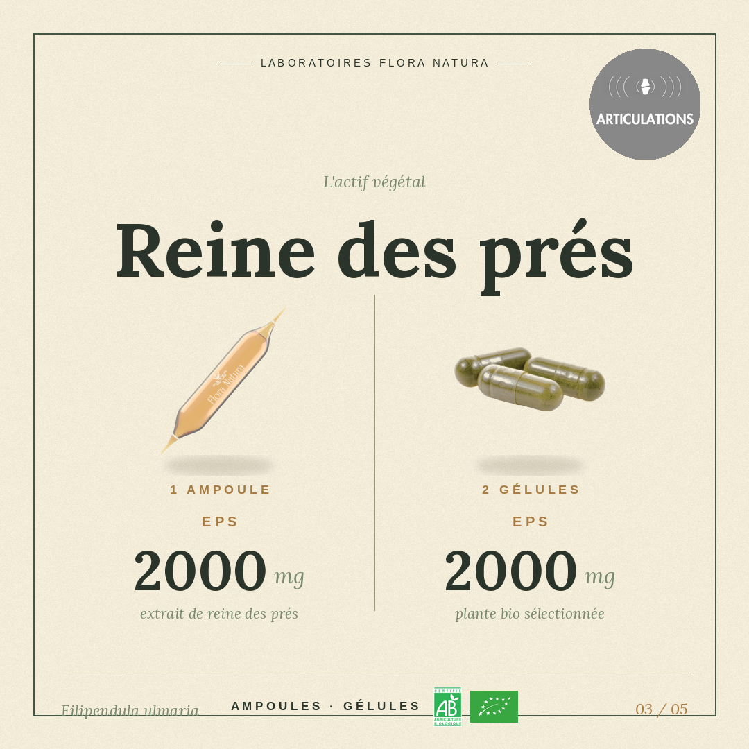 Principe actif de Reine des prés