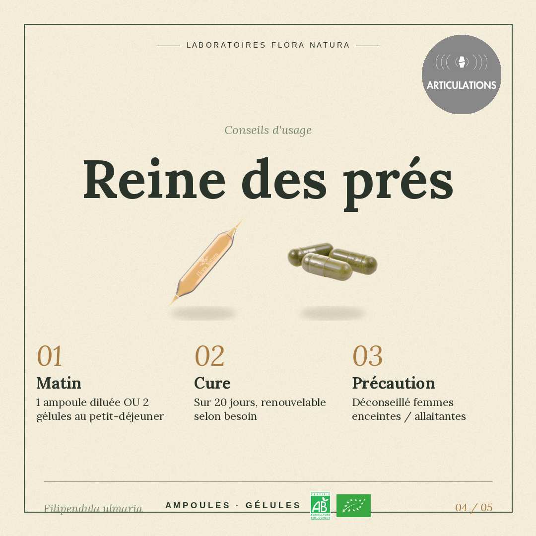 Posologie de Reine des prés