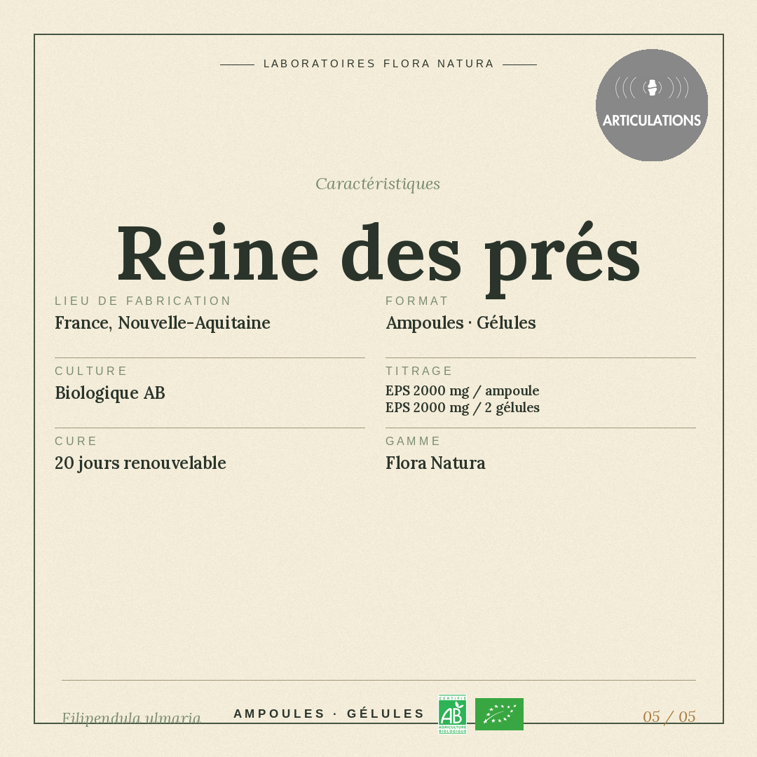 Caractéristiques de Reine des prés