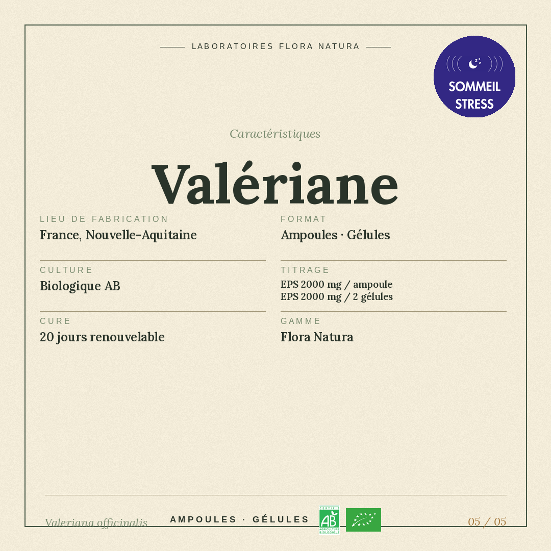 Caractéristiques de Valériane