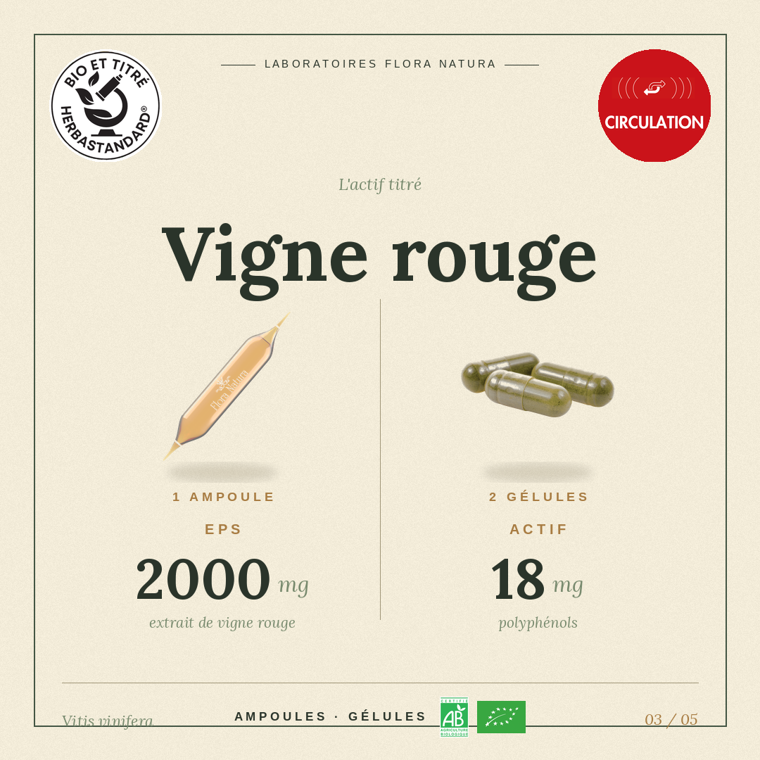 Principe actif de Vigne rouge
