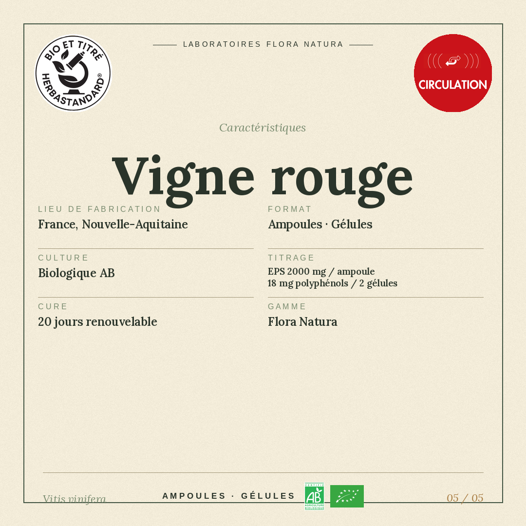 Caractéristiques de Vigne rouge